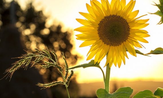 "The baby is doing great... I can’t wait to meet him!"